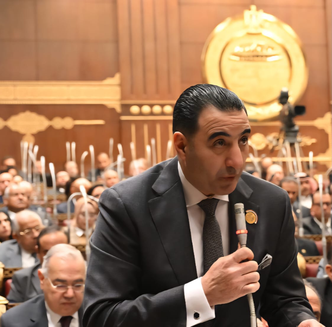 الدكتور السعيد غنيم