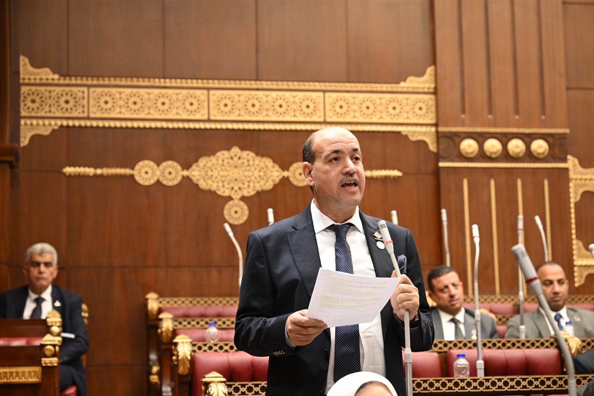 النائب أحمد سيد أحمد