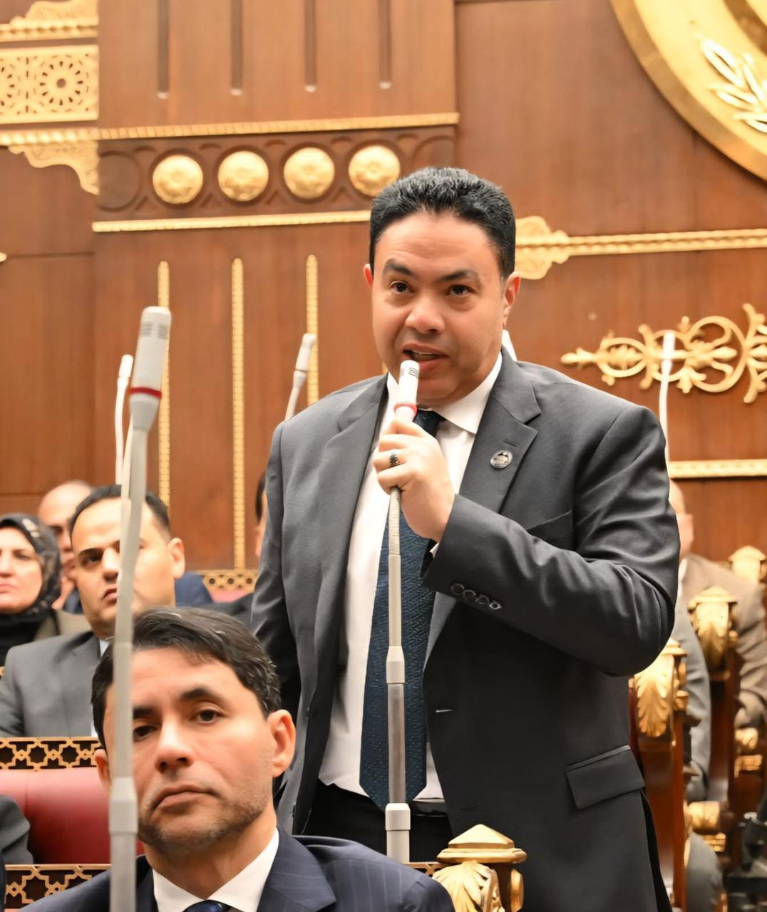 النائب إسماعيل الشرقاوي