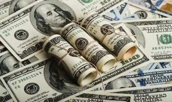 سعر الدولار