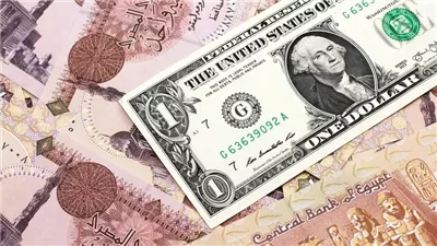 سعر الدولار مقابل الجنيه المصري اليوم الاثنين 29 ديسمبر 2025