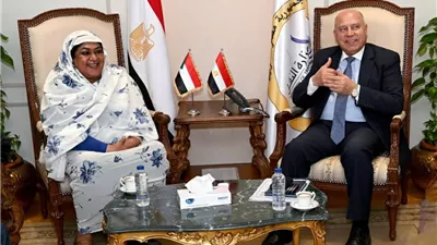 تعاون سوداني مصري لإنشاء مجازر ومدابغ متطورة بالسودان