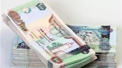 استقرار سعر الدرهم الإماراتي أمام العملات العربية والأجنبية