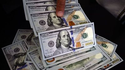 استقرار سعر الدولار اليوم السبت 14 فبراير 2026 في البنوك.. إليك التحديثات