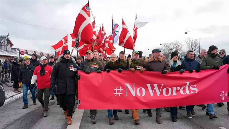  المحاربين الدنماركيين