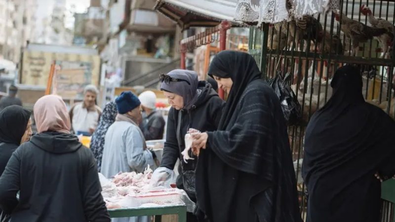 أسواق الدواجن في