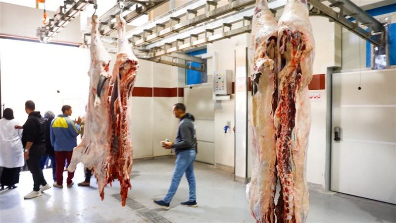 مجزر كفر شكر
