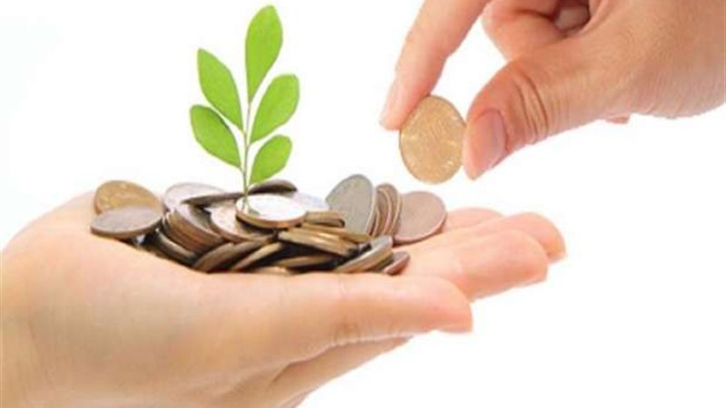 زكاة الفطر 2026