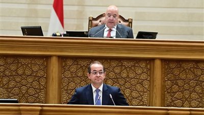 بين الدعم والترشيد.. وزير المالية يكشف بالأرقام خطة مواجهة الضغوط الاقتصادية