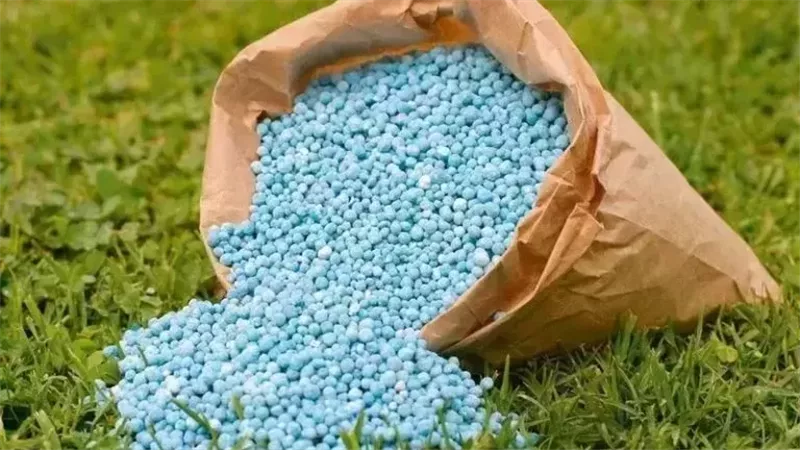  أسعار الأسمدة والطاقة