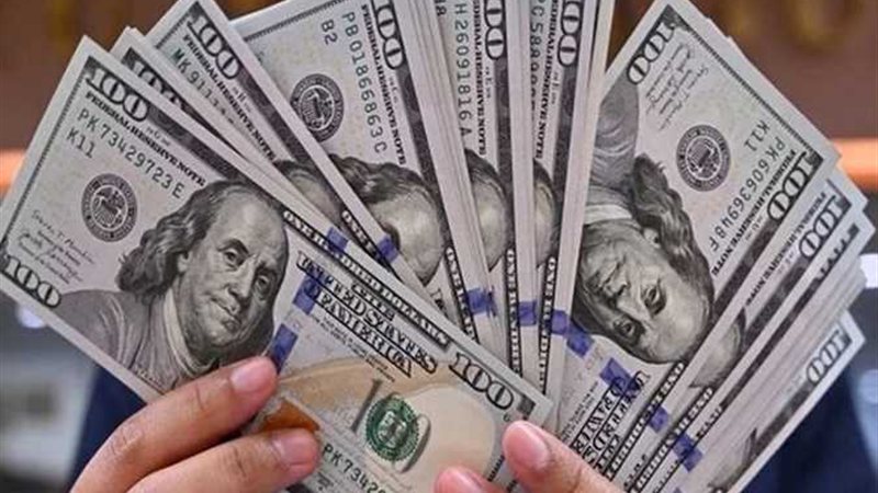 سعر الدولار في مصر